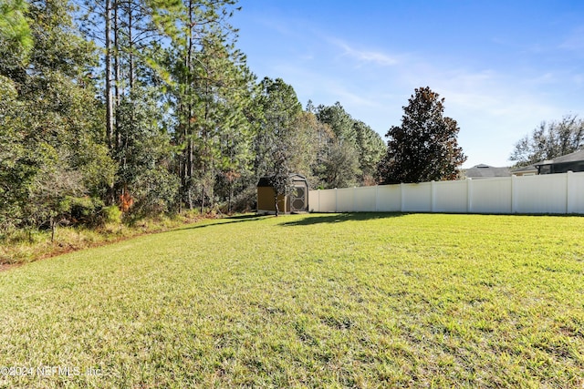 view of yard with a storage unit