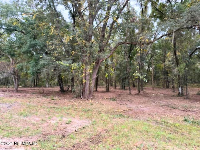 0 Lemon Dr, Pomona Park FL, 32181 land for sale