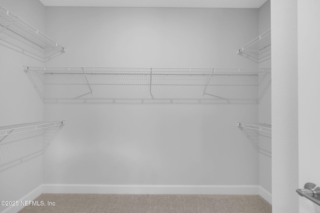 118 Caiden Dr, Ponte Vedra, FL 32081 - view of walk in closet