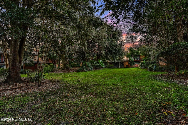 view of yard at dusk