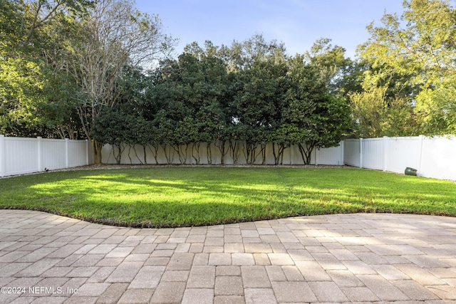 view of yard with a patio area