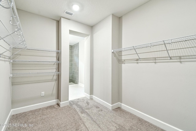 75484 Banyan Way, Yulee, FL 32097 - spacious closet with carpet flooring