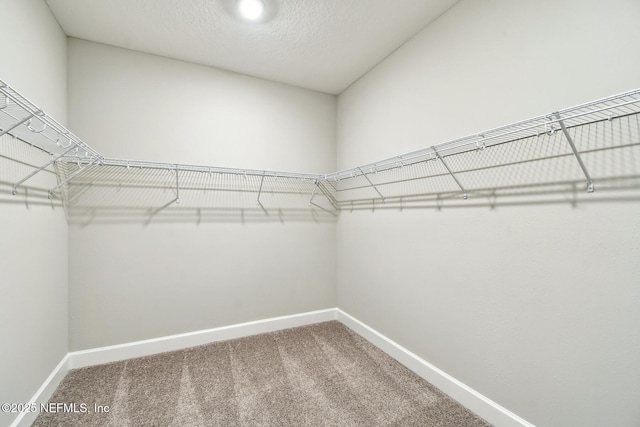 75484 Banyan Way, Yulee, FL 32097 - walk in closet featuring carpet flooring