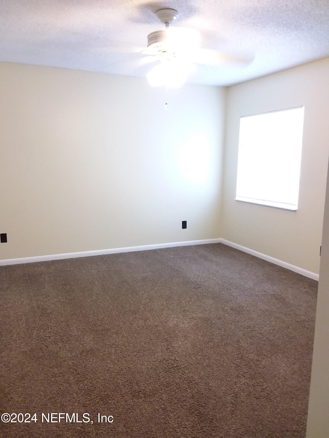 8456 Windypine Ln, Jacksonville, FL 32244 - photo 12