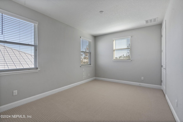 spare room with light carpet and a textured ceiling