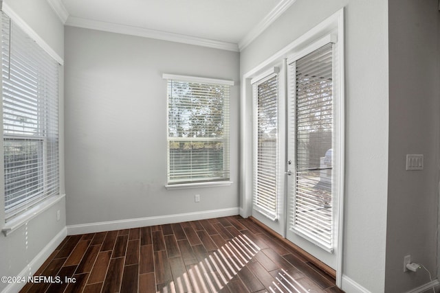 interior space featuring dark hardwood / wood-style floors and crown molding