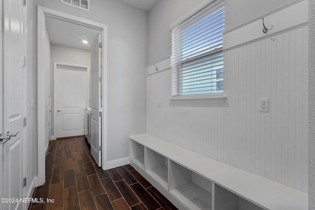 mudroom with dark wood-type flooring