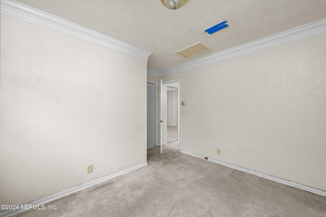 carpeted empty room with crown molding and a textured ceiling