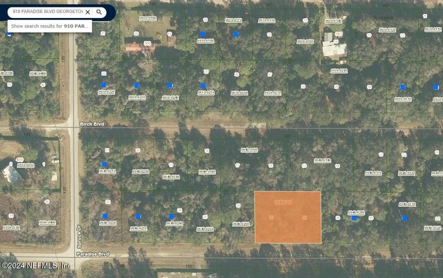 910 Paradise Blvd, Georgetown, FL 32139 - photo 15