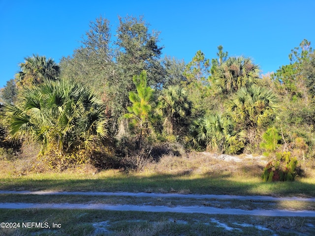 910 Paradise Blvd, Georgetown FL, 32139 land for sale