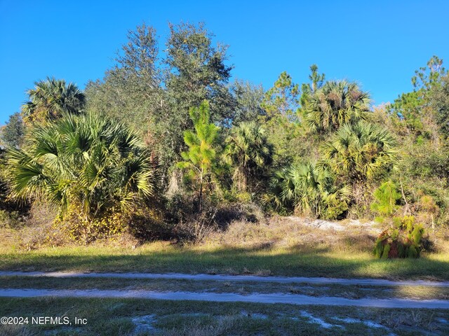 910 Paradise Blvd, Georgetown, FL 32139 - photo 1