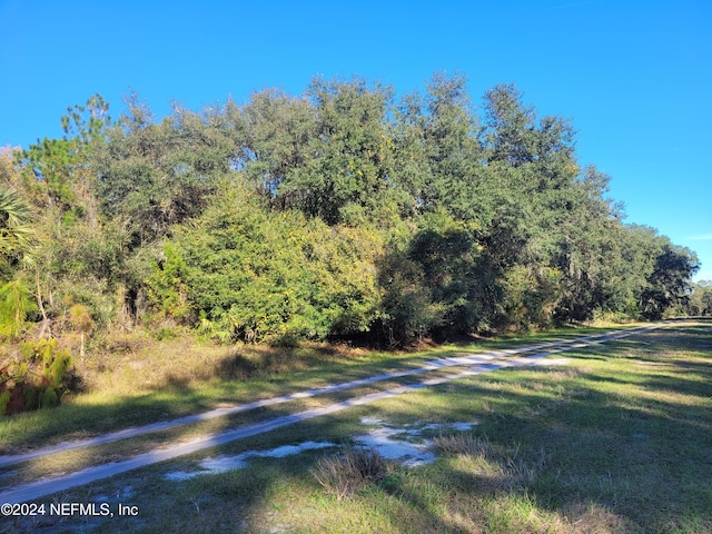 Listing photo 2 for 910 Paradise Blvd, Georgetown FL 32139