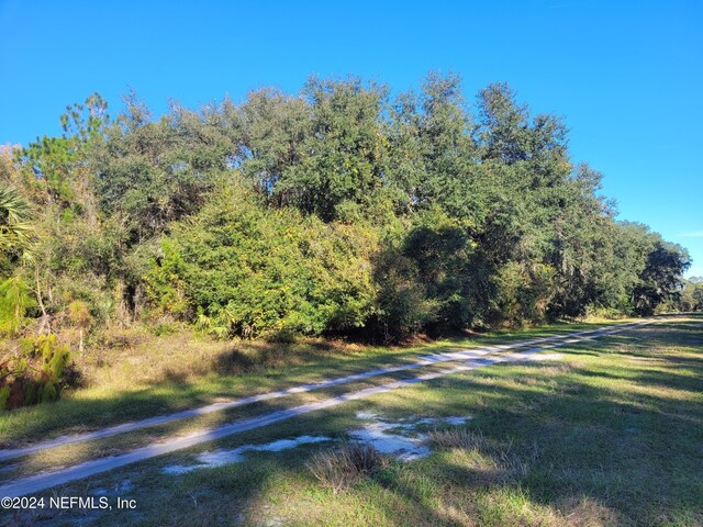 910 Paradise Blvd, Georgetown, FL 32139 - photo 2