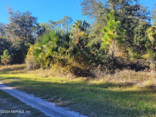 910 Paradise Blvd, Georgetown, FL 32139 - photo 3