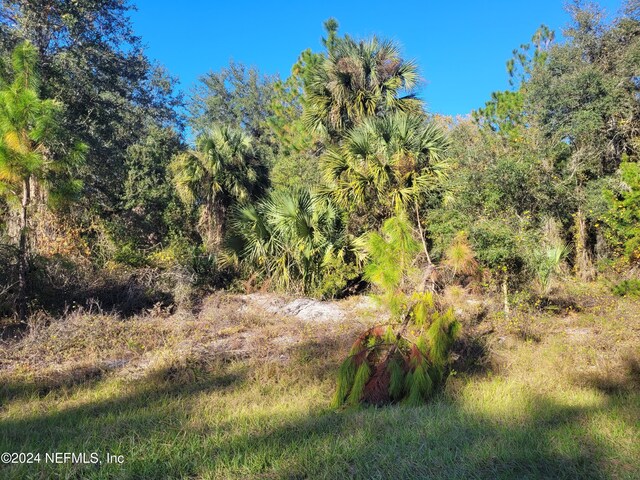 910 Paradise Blvd, Georgetown, FL 32139 - photo 4
