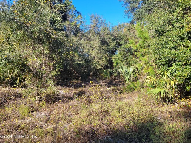 910 Paradise Blvd, Georgetown, FL 32139 - photo 5