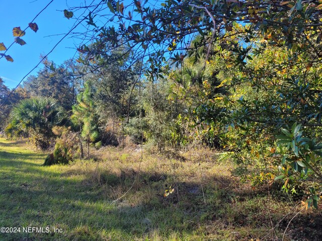 910 Paradise Blvd, Georgetown, FL 32139 - photo 6