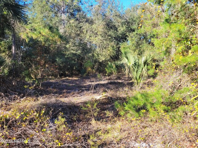 910 Paradise Blvd, Georgetown, FL 32139 - photo 7