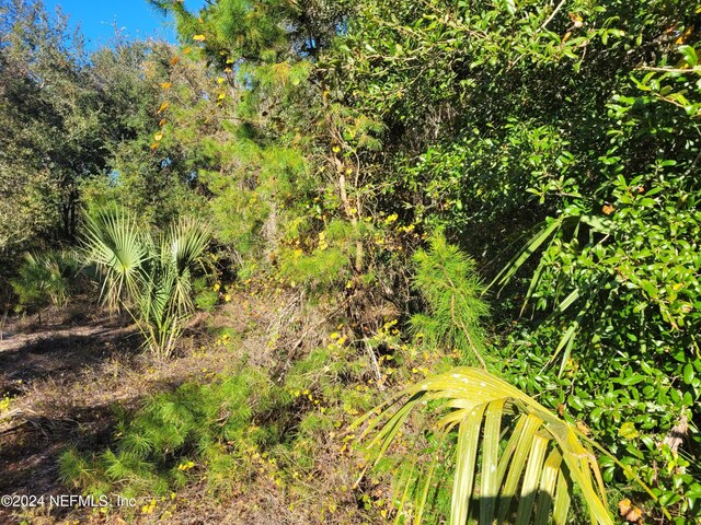 910 Paradise Blvd, Georgetown, FL 32139 - photo 8
