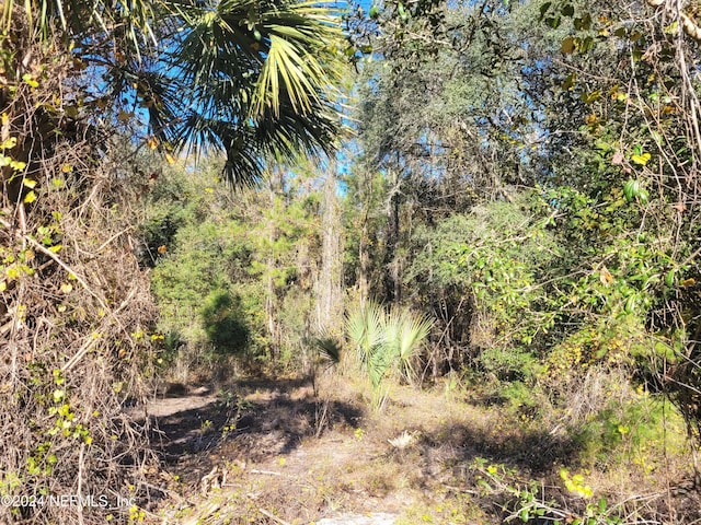 910 Paradise Blvd, Georgetown, FL 32139 - photo 9