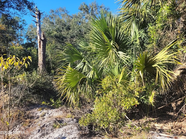 910 Paradise Blvd, Georgetown, FL 32139 - photo 10