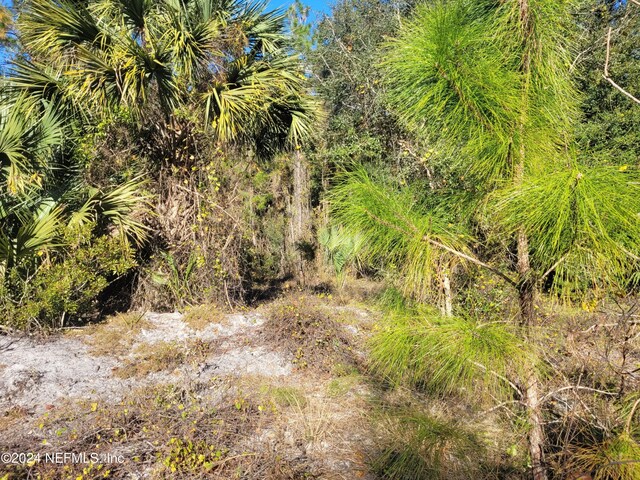 910 Paradise Blvd, Georgetown, FL 32139 - photo 11