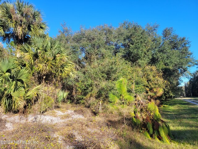 910 Paradise Blvd, Georgetown, FL 32139 - photo 13