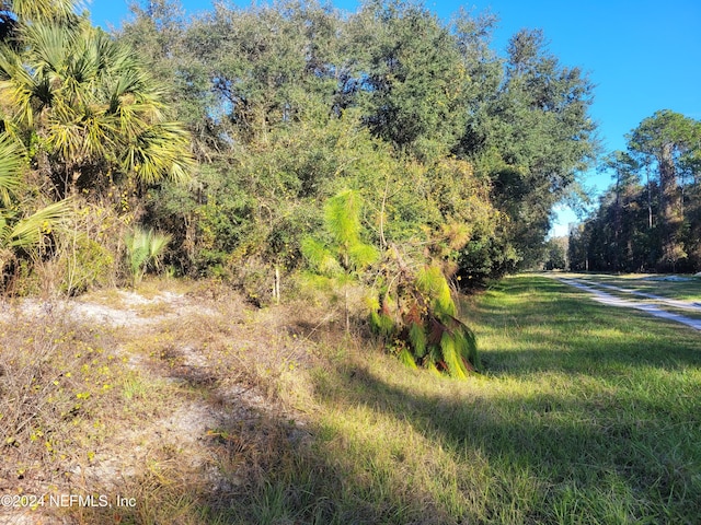 910 Paradise Blvd, Georgetown, FL 32139 - photo 14