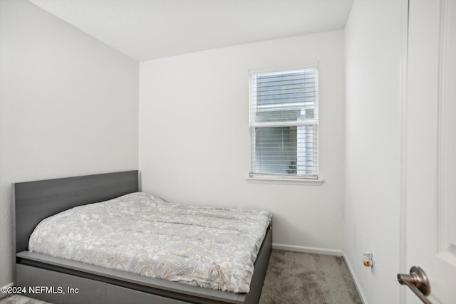 bedroom featuring carpet flooring