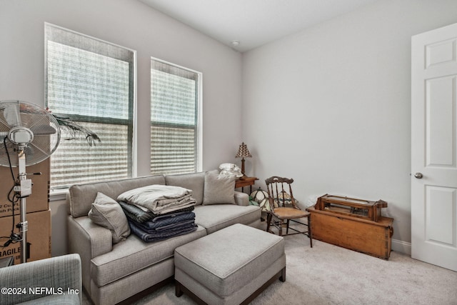 living area featuring light colored carpet