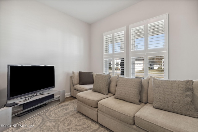 living room featuring hardwood / wood-style flooring