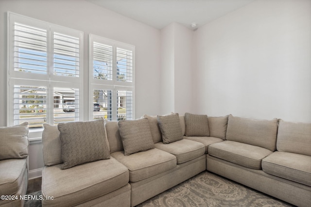 living room featuring hardwood / wood-style floors and a healthy amount of sunlight