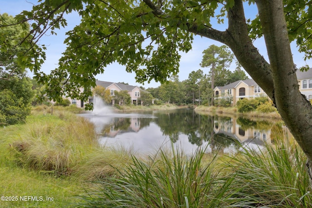 view of water feature