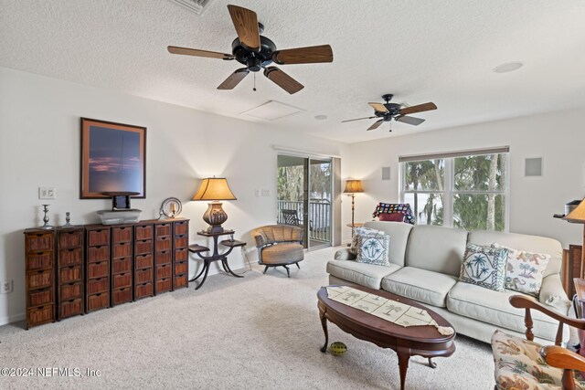 772 National Forest Rd, Palatka, FL 32177 - photo 38