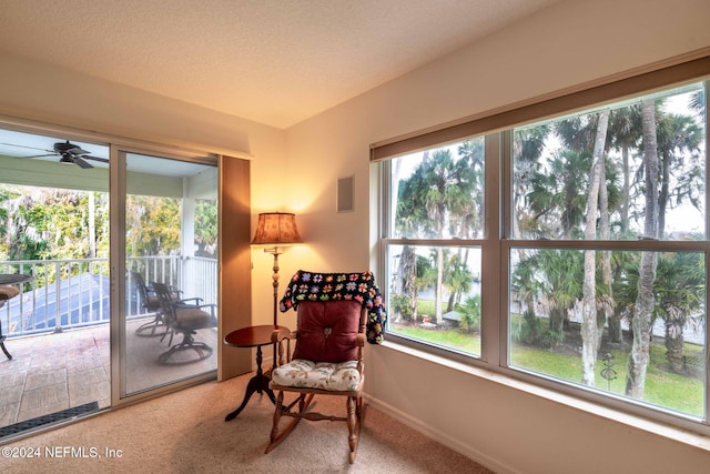 living area featuring carpet floors and a textured ceiling