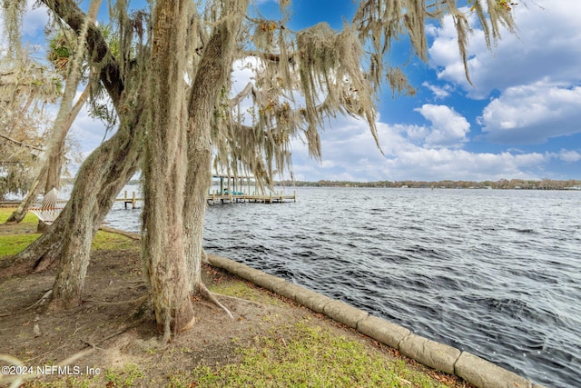 property view of water with a boat dock