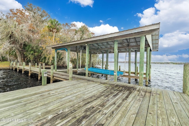 dock area with a water view