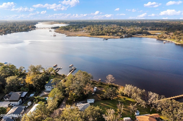 1779 Carbondale Dr N, Jacksonville, FL 32208 - photo 4