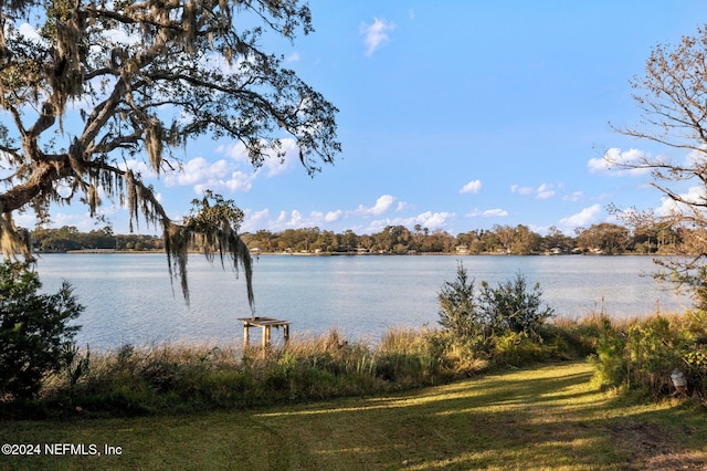 1779 Carbondale Dr N, Jacksonville, FL 32208 - photo 15
