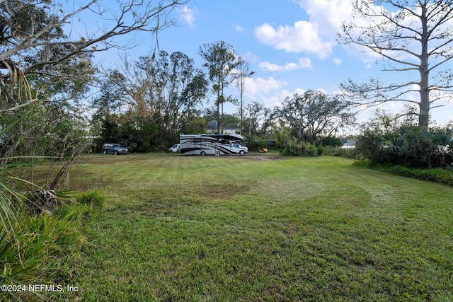 1779 Carbondale Dr N, Jacksonville, FL 32208 - photo 32