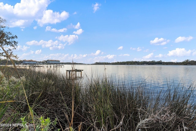1779 Carbondale Dr N, Jacksonville, FL 32208 - photo 33