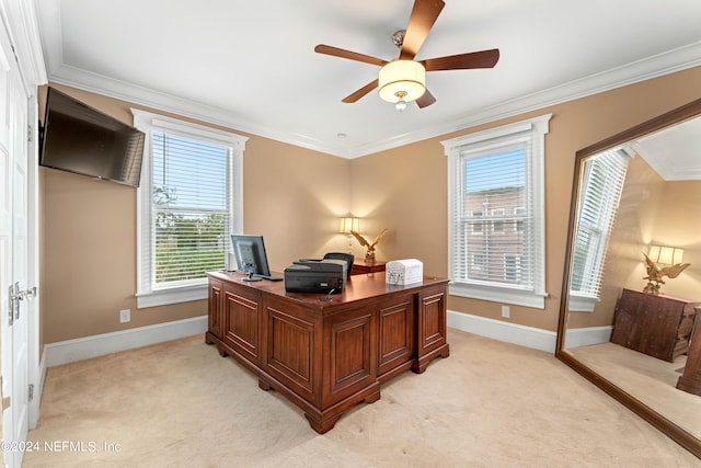 carpeted office featuring ceiling fan and crown molding