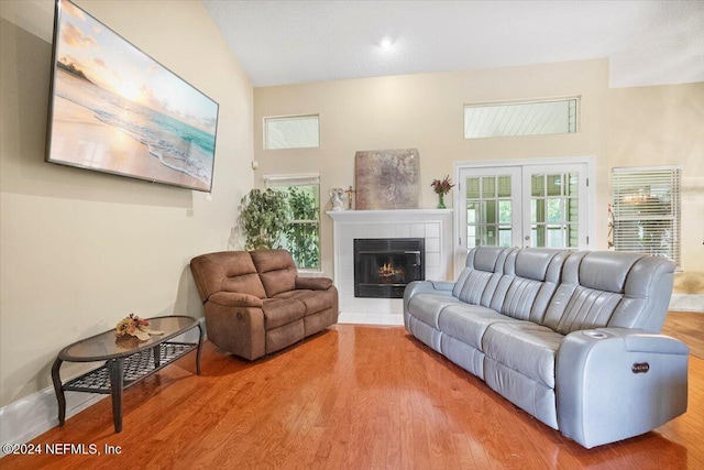 living room featuring a fireplace, plenty of natural light, and wood-type flooring