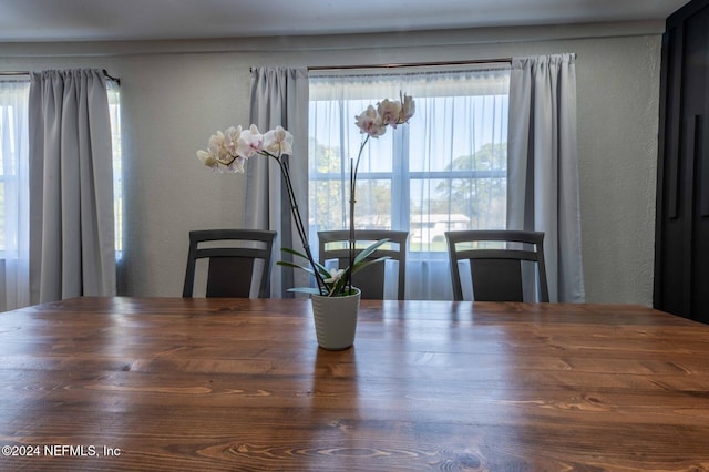 unfurnished dining area with plenty of natural light