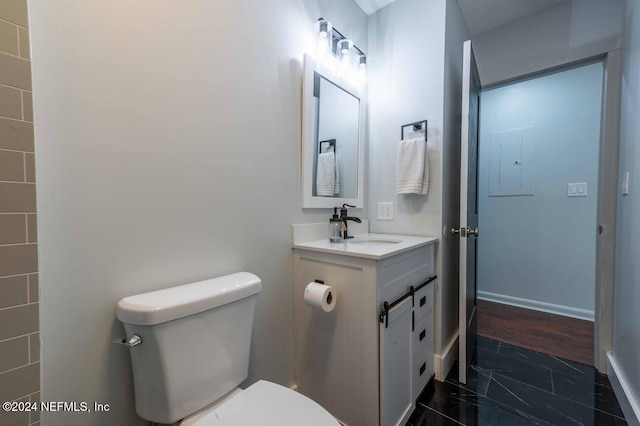 bathroom with vanity, toilet, and electric panel