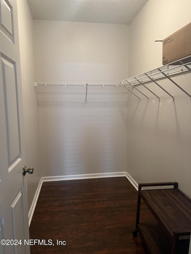 spacious closet featuring dark hardwood / wood-style flooring