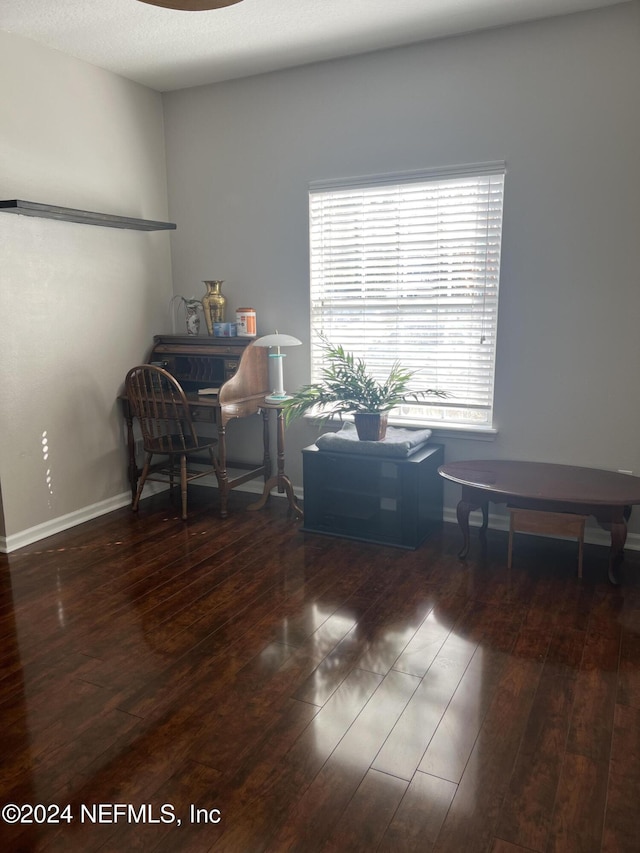 interior space featuring dark wood-type flooring