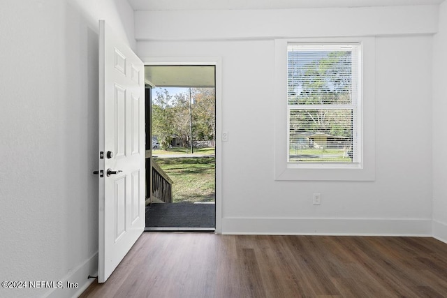 entrance foyer featuring hardwood / wood-style flooring and a healthy amount of sunlight