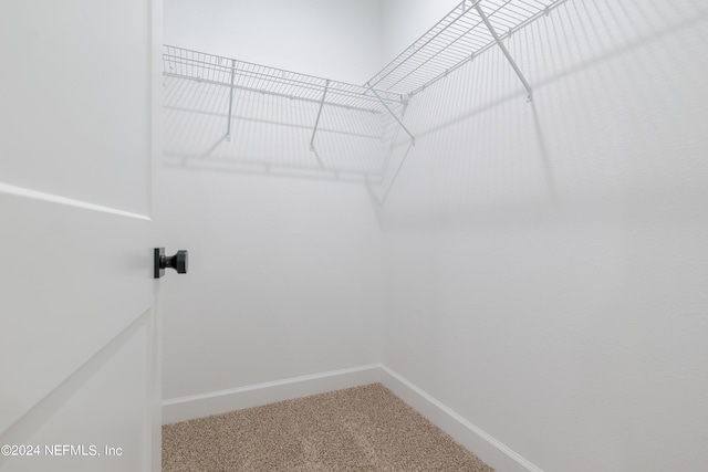 walk in closet featuring carpet flooring