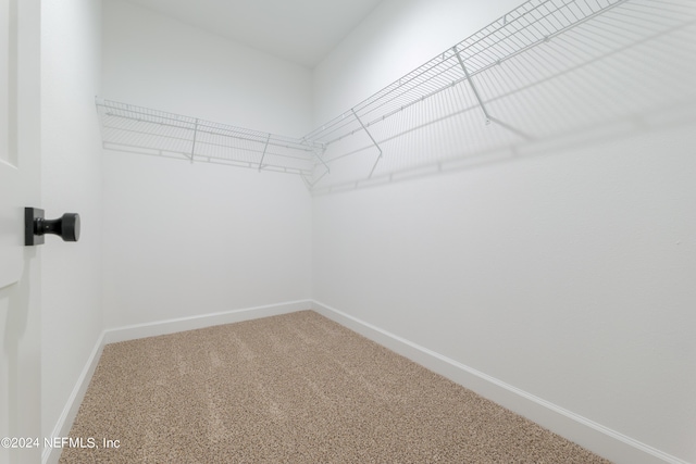 spacious closet with carpet floors